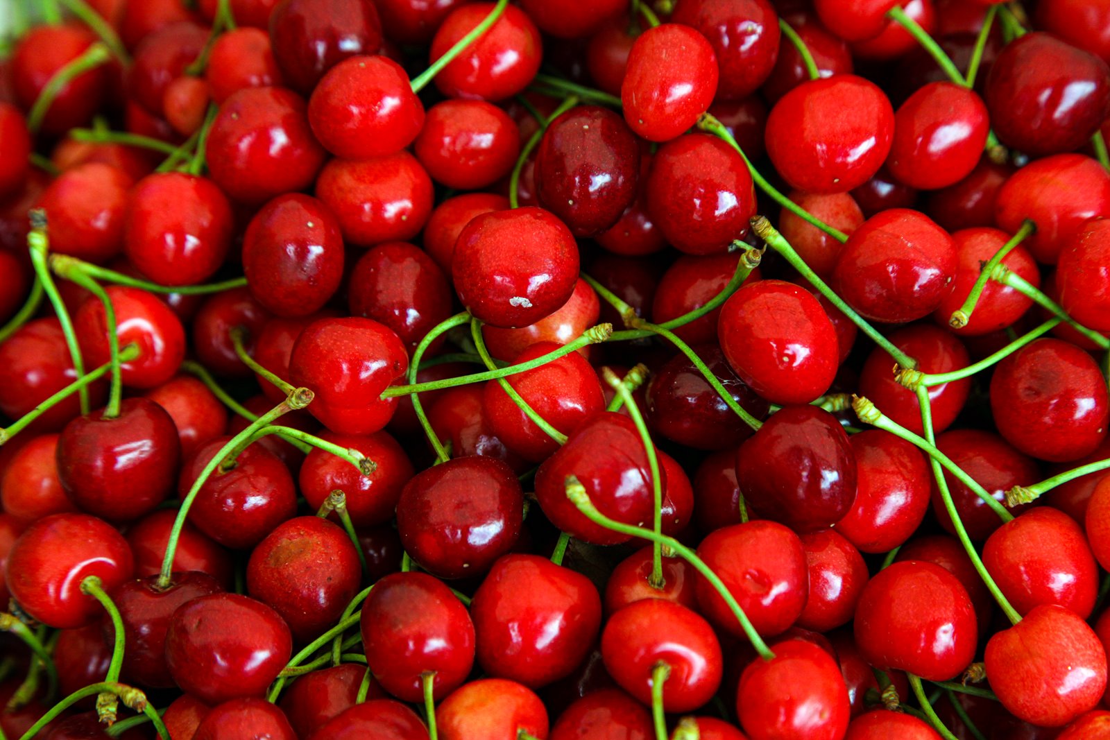 cerezas-rojas-tallos-verdes-vista-superior